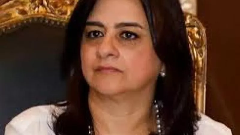 أماني شمس: الجهاز المصرفي المصري نفذ مليار عملية مصرفية إلكترونية العام المالي الماضي