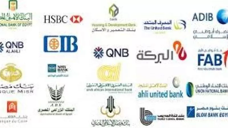 البنك المركزي: 17.8 مليون شاب لديهم معاملات مع البنوك بنسبة 48.7%