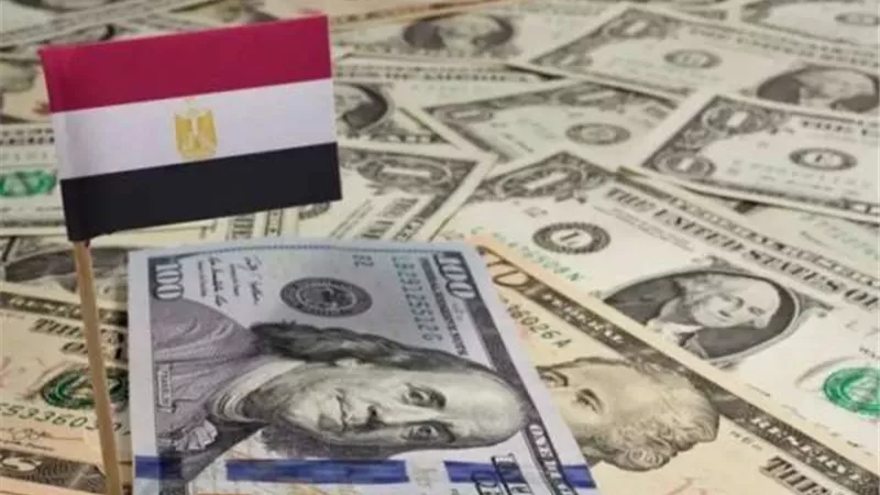 المركزي: 66% ارتفاعاً في تحويلات المصريين العاملين بالخارج خلال شهر أغسطس 2024