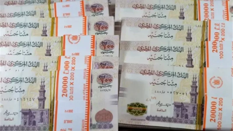 المركزي: السيولة المحلية ترتفع لـ 12.218 تريليون جنيه بنهاية فبراير