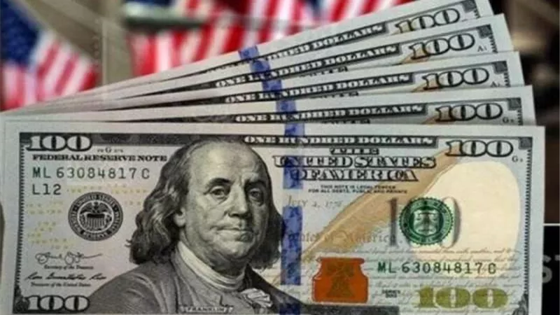 سعر الدولار مقابل الجنيه المصري اليوم الأحد 9 نوفمبر 2025