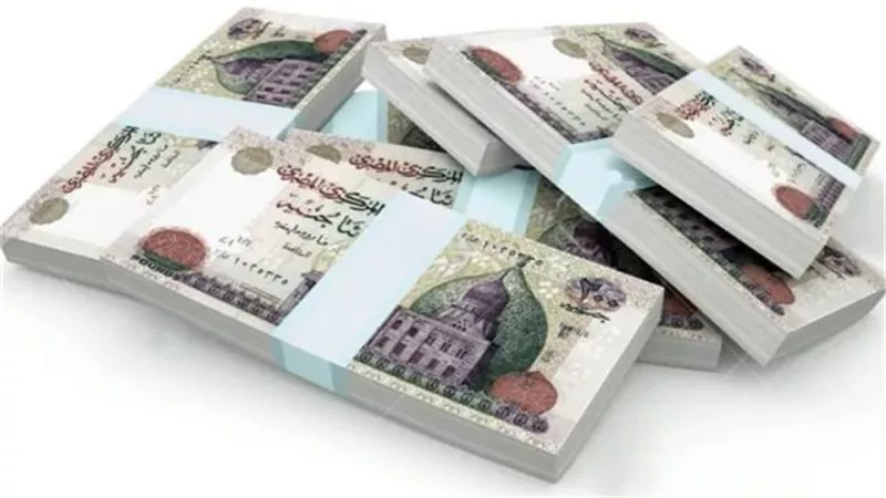 أصول بنك البركة-مصر تقفز إلى 141.15 مليار جنيه بنهاية الربع الثالث من 2025