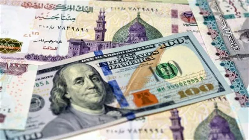 يواصل ارتفاعه.. سعر الدولار اليوم الثلاثاء 20 يناير 2026 مقابل الجنيه بالبنوك