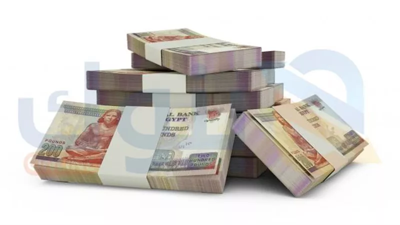 «المركزي» : إجمالي قروض العملاء تصل إلى 9.527 تريليون جنيه بنهاية أغسطس 2025