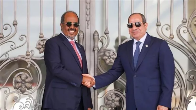 الجهاز للمركزي للأحصاء: 11.6% ارتفاعًا في حجم التبادل التجاري بين مصر والصومال خلال 2025