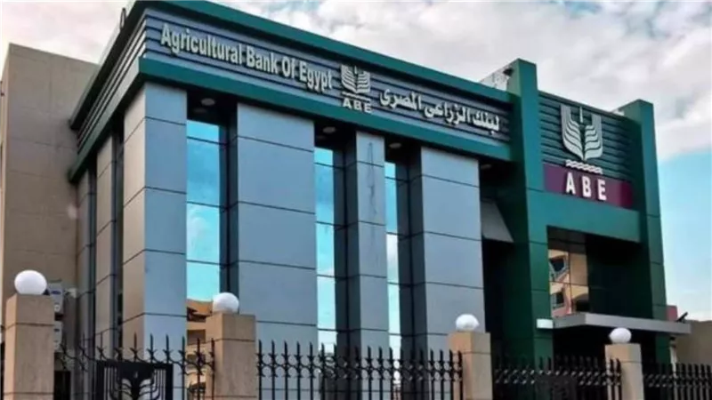 البنك الزراعي المصري يُنهي استعداداته لاستقبال موسم توريد القمح 2026