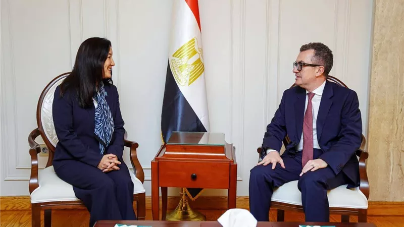 وزير التخطيط يبحث مع ممثلة البرنامج الإنمائي للأمم المتحدة التعاون في ملفات الطاقة والتحول الرقمي وتطوير نُظم البيانات