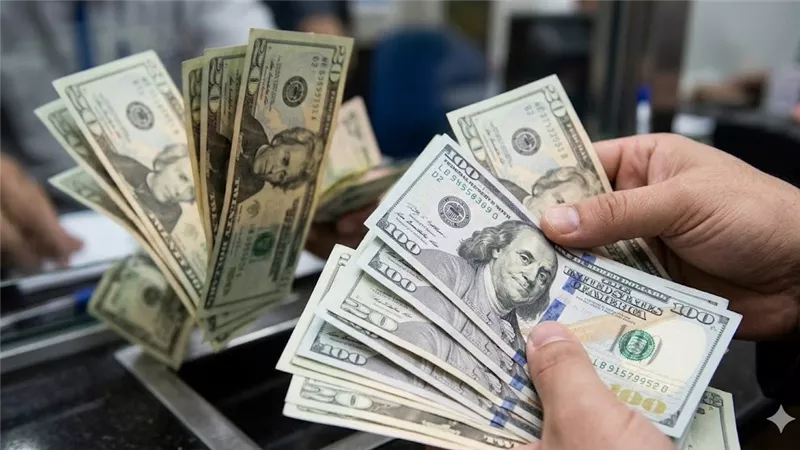 أسعار الدولار اليوم الثلاثاء 9 يونيو 2026 في البنوك المصرية.. آخر التحديثات