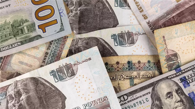 أسعار الدولار اليوم الثلاثاء 18 أغسطس 2026 في البنوك المصرية