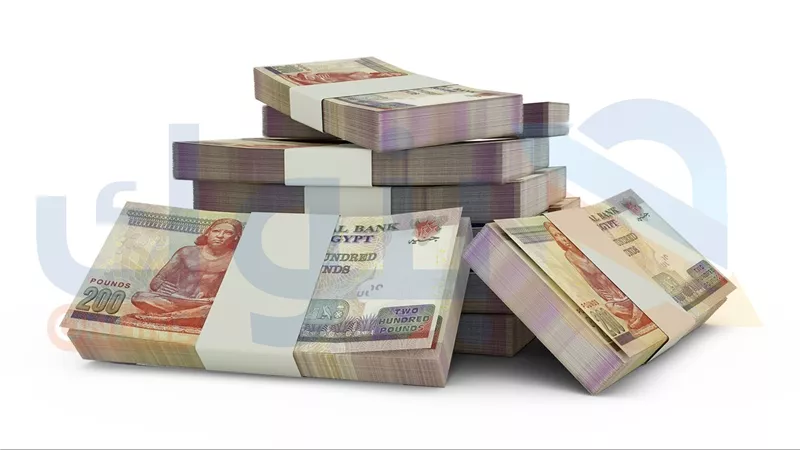 بعد تحديث الفائدة.. تعرف على أعلى عائد على شهادات البنك العربي الأفريقي الدولي