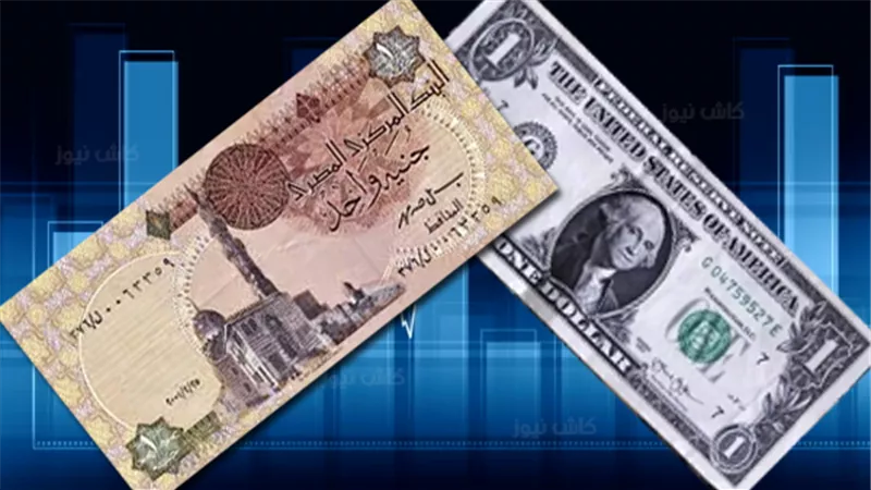 تراجع الدولار أمام الجنيه المصري في بداية تعاملات الإثنين.. والبنك الأهلي يسجل 50.17 جنيه للشراء