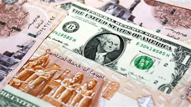 أسعار الدولار اليوم الخميس 13 أغسطس 2026 في البنوك المصرية