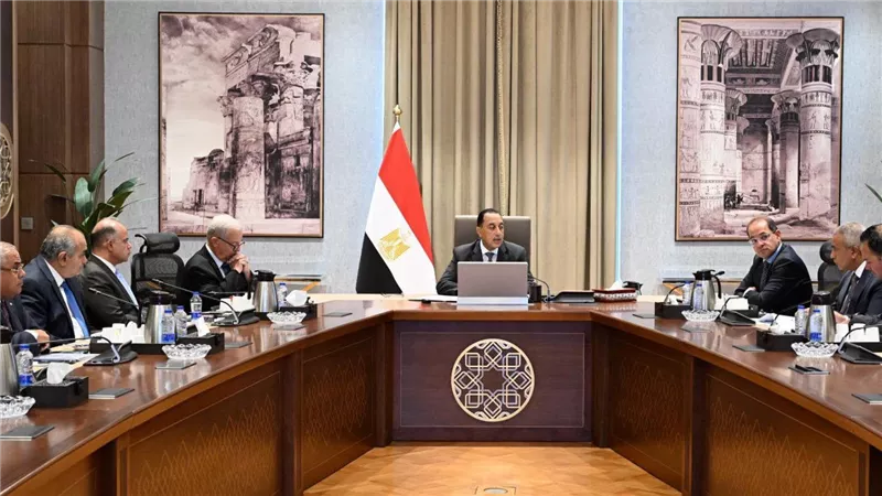 رئيس الوزراء يتابع مستجدات إعادة هيكلة وتطوير وحوكمة الشركات المملوكة للدولة 
